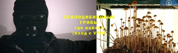 скорость Инсар