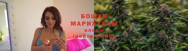 прущая мука Иннополис